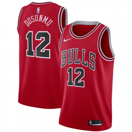 NBA Chicago Bulls Trikot Ayo Dosunmu 12 Nike 2022-23 Icon Edition Rot Swingman - Herren